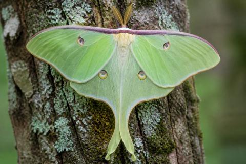 Habitats & Ecology guides